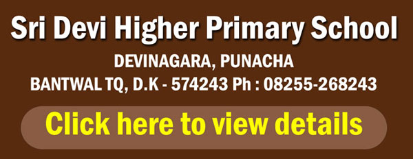 Sridevi-higher